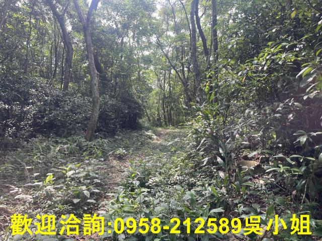 苗栗三義山坡地-7