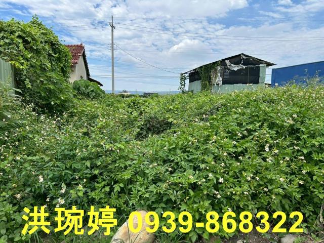 台中烏日建地-3