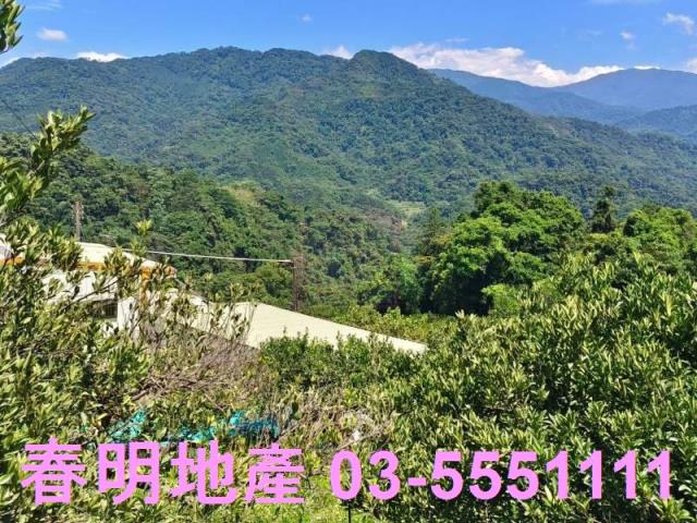 橫山農地-11
