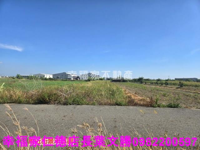 安定農地-15