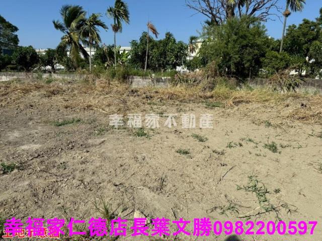 仁德農地-25