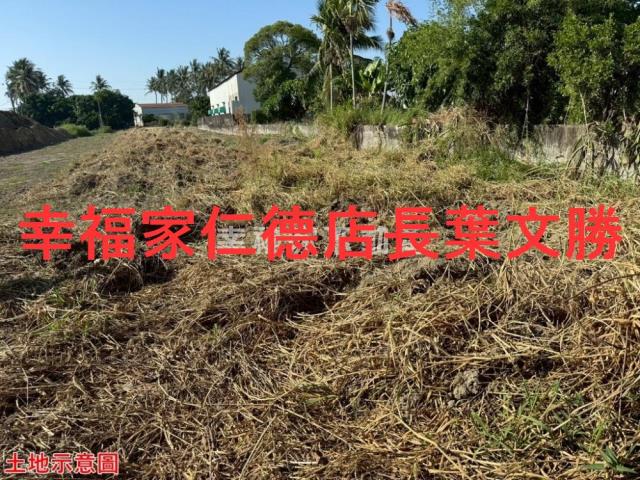 仁德農地-13