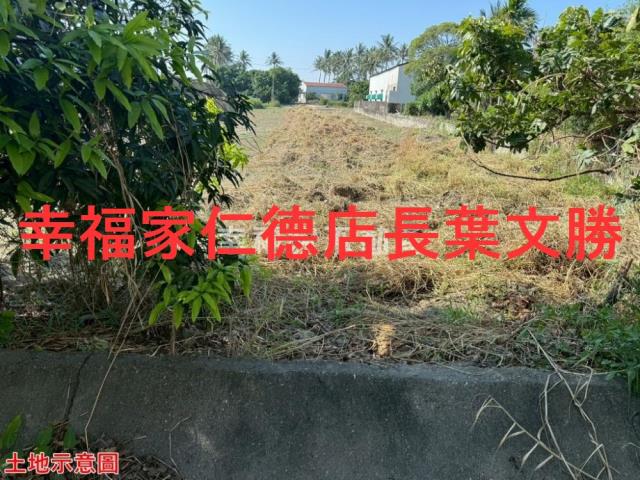 仁德農地-7