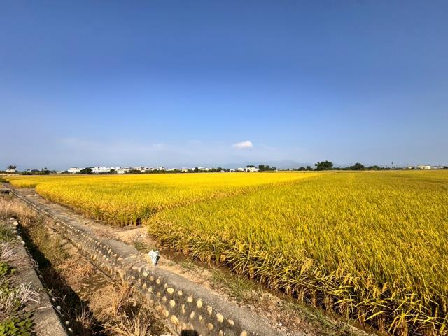 嘉義農地-1