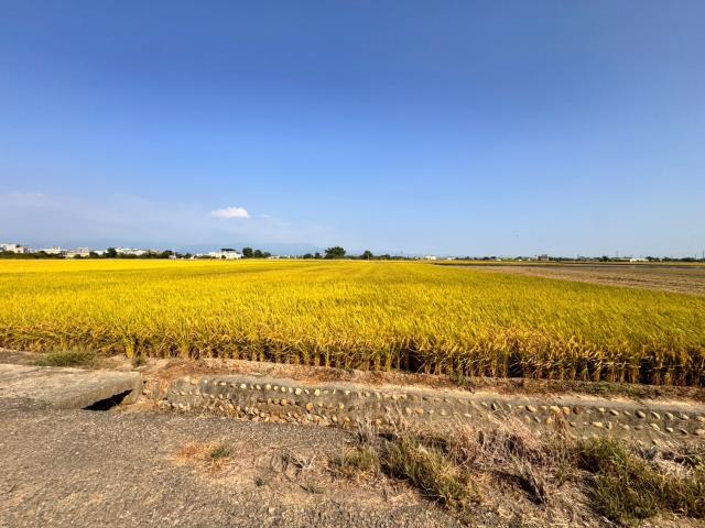 嘉義農地-3