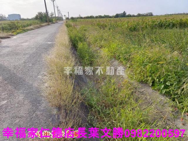 台南農地-6