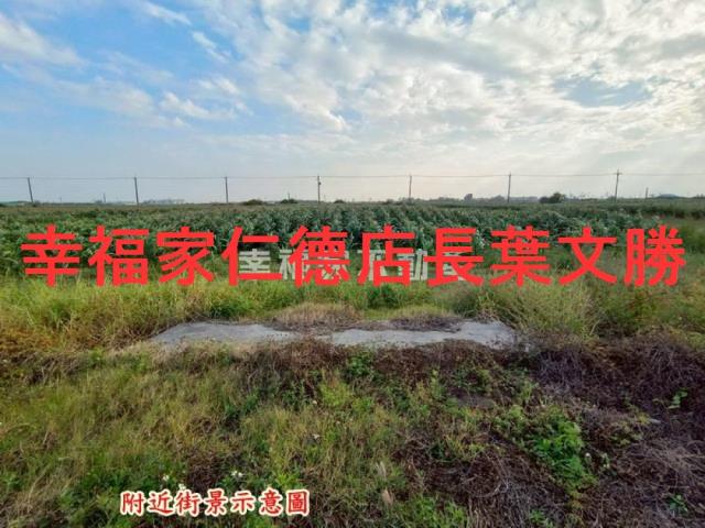 台南農地-5