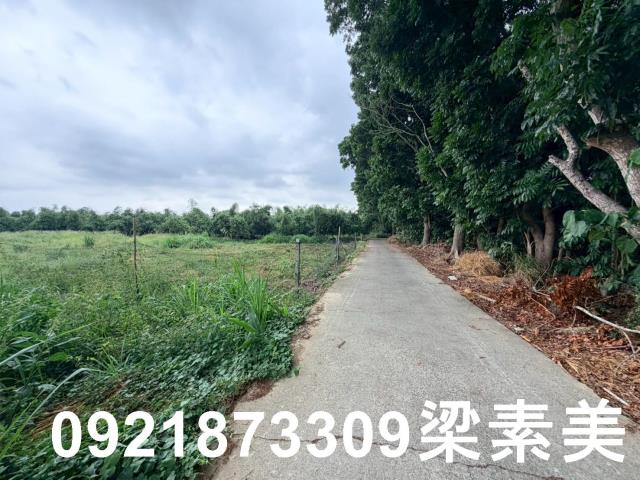 台南關廟農地-4