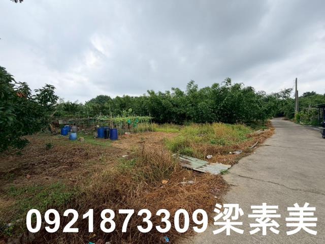 台南關廟農地-6