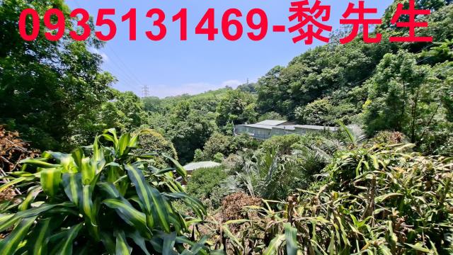 新竹峨眉林地-9