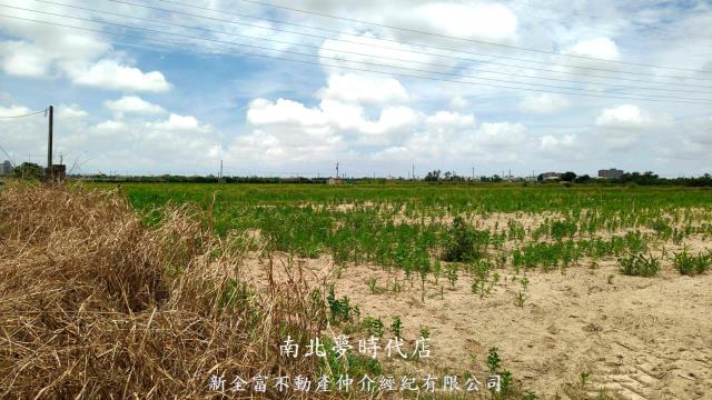台南新營農地-6