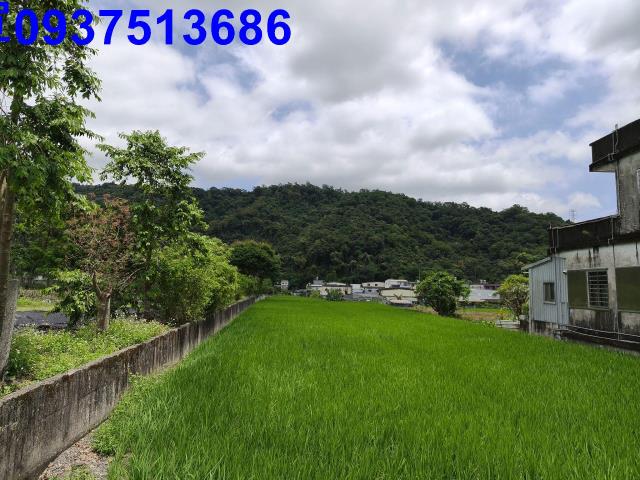 礁溪農地-15