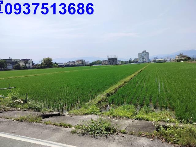 員山農地-3