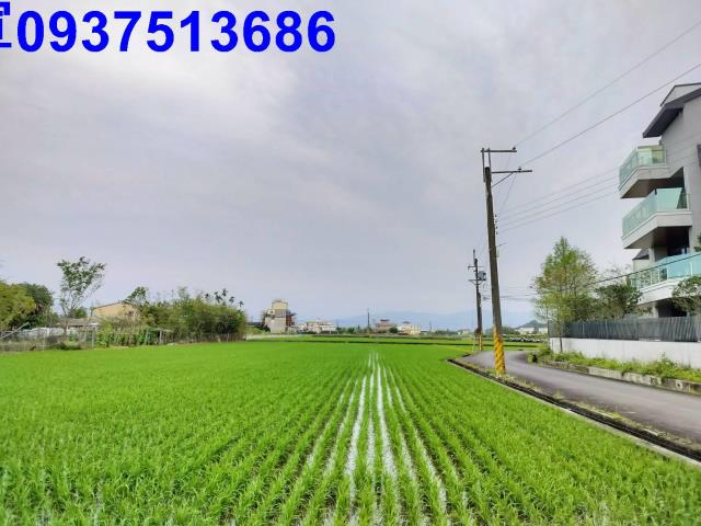 員山農地-15