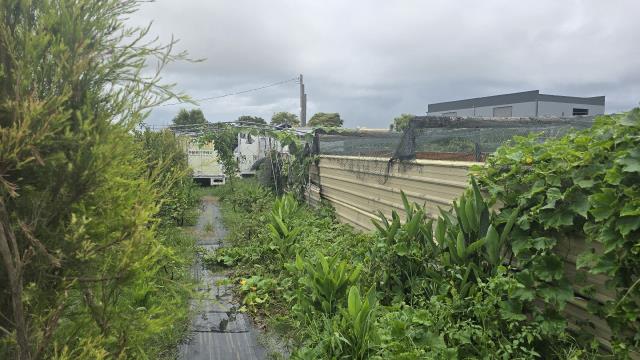 梓官農地-5