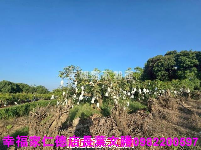 官田農地-20