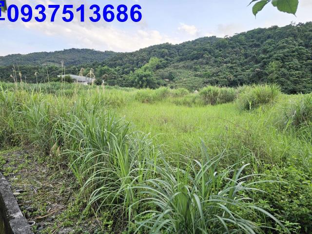 宜蘭農地-1