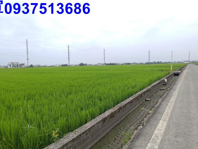 宜蘭農地-1