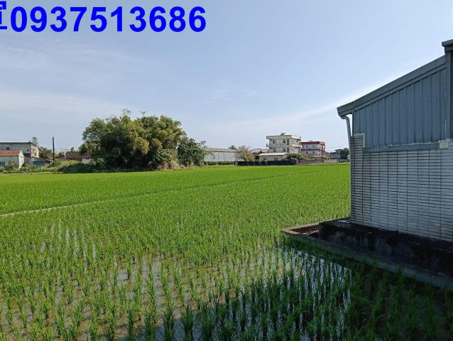 宜蘭農地-4