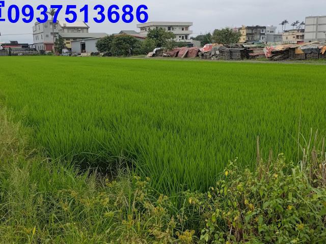 宜蘭農地-7