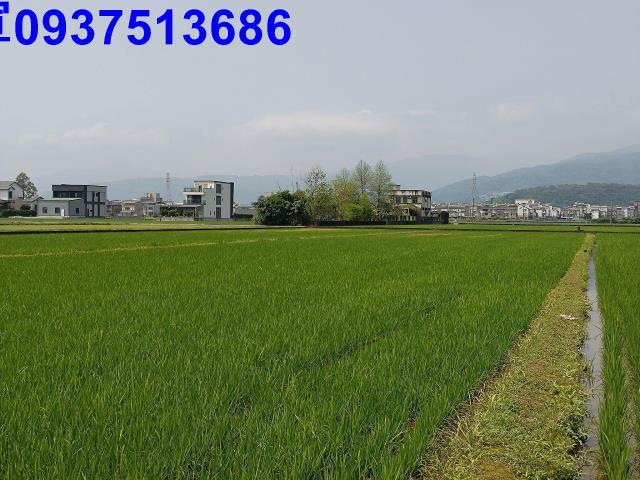 宜蘭礁溪農地-7