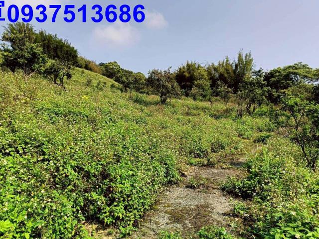宜蘭員山農地-8