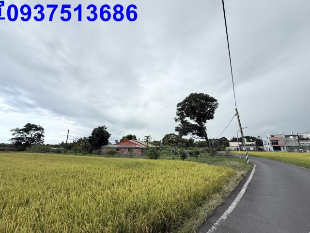 宜蘭頭城農地-4