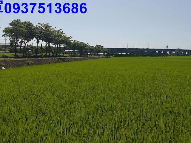 宜蘭壯圍農地-11