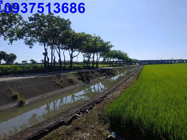 宜蘭壯圍農地-7