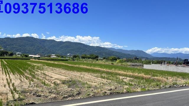 宜蘭三星農地-8