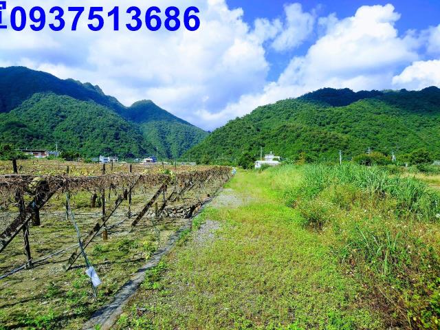 宜蘭員山農地-1