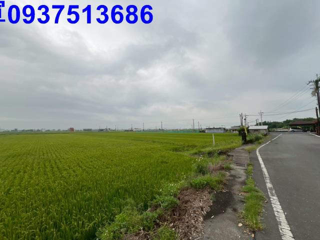 壯圍農地-2