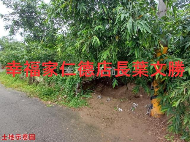 歸仁農地-17