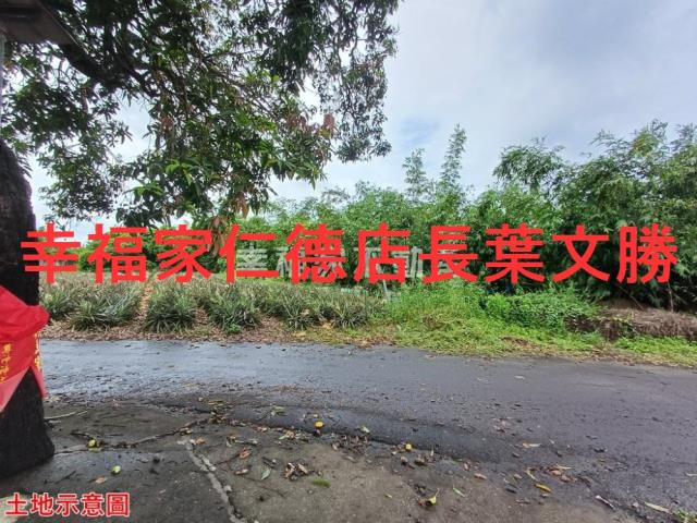 歸仁農地-19