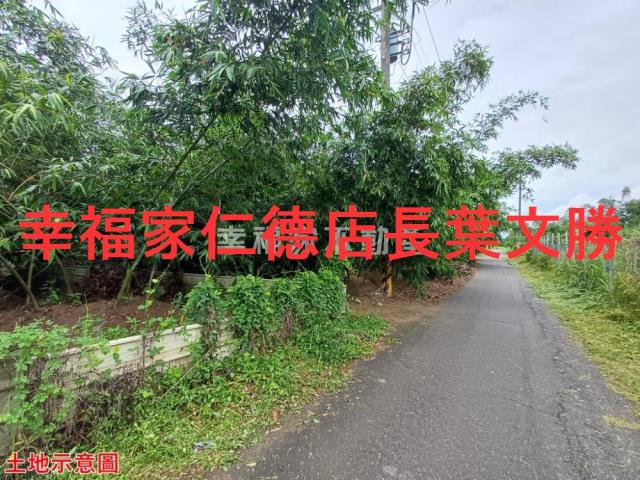 歸仁農地-7
