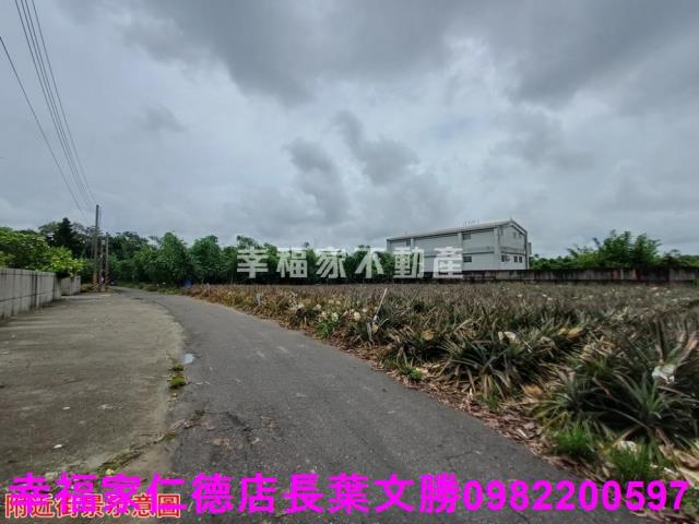歸仁農地-2