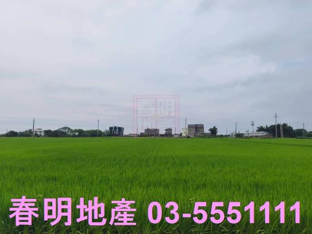 新豐農地-1