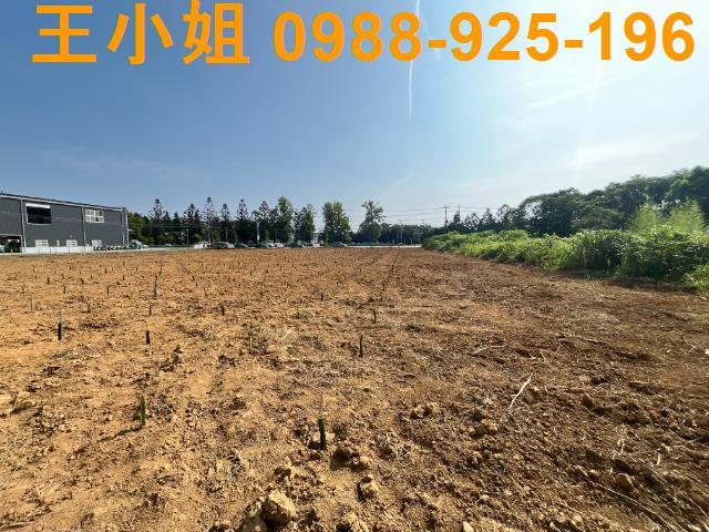 龍潭農地-15