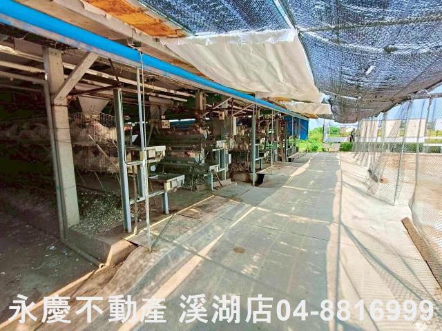 埔鹽農地-10