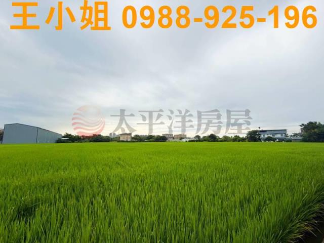 桃園中壢農地-2