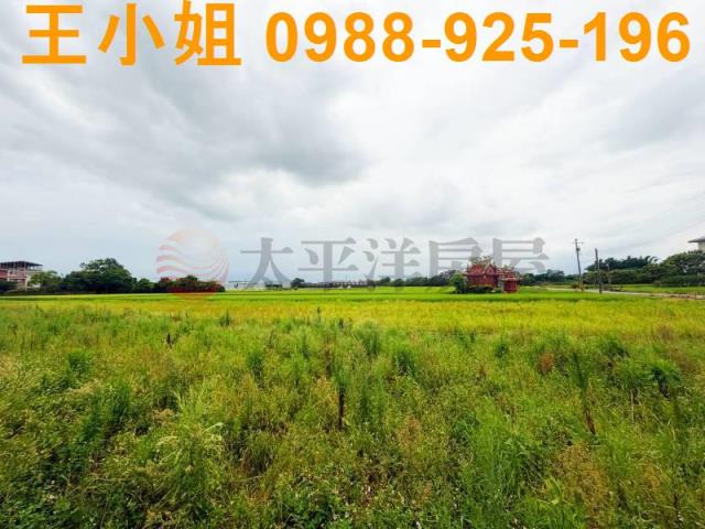 桃園中壢農地-4