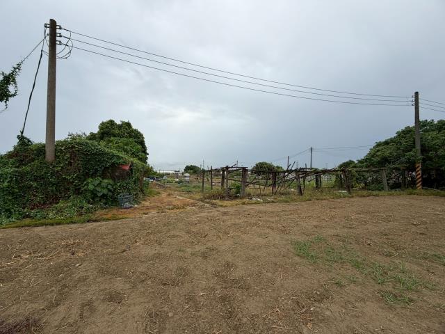 高雄路竹農地-3