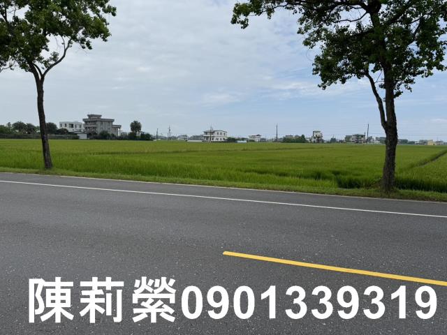 壯圍農地-1