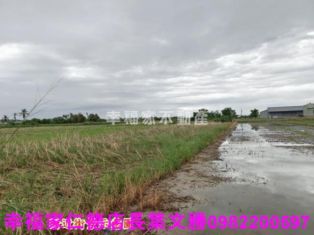 台南安定農地-14