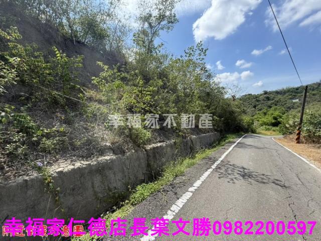 玉井農地-1