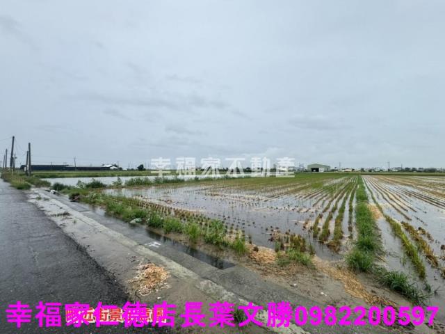 台南西港農地-3
