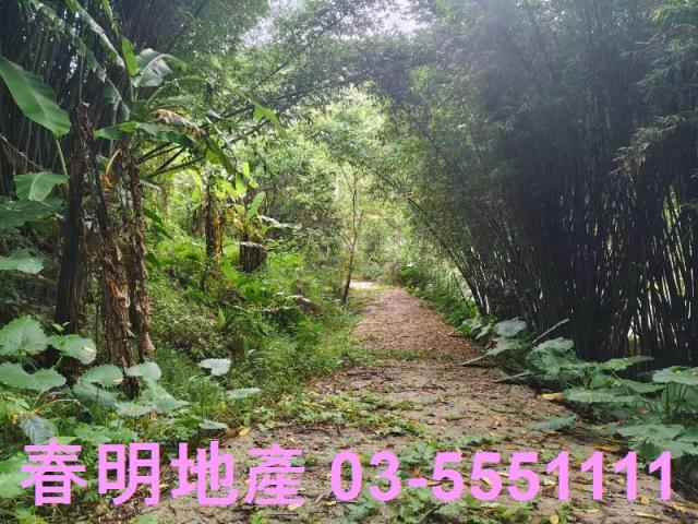 關西農地-2