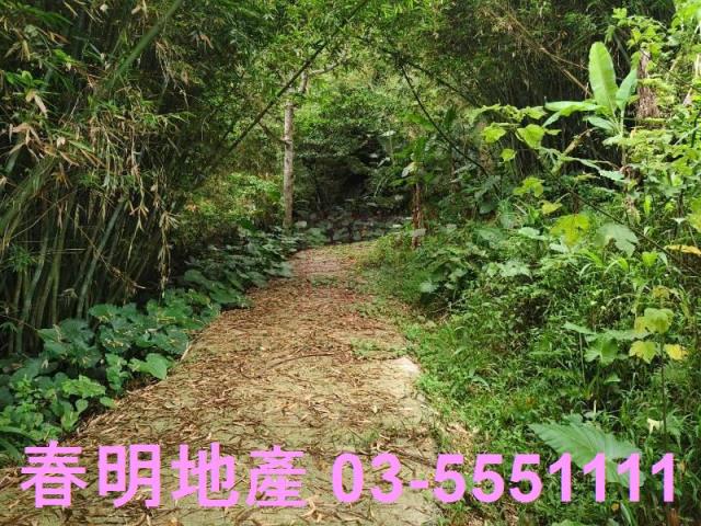 關西農地-7