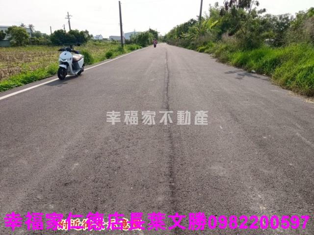 安定農地-10