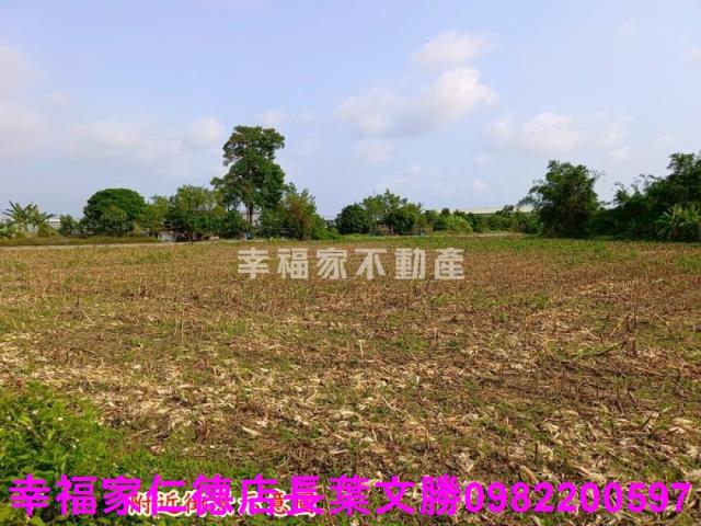 安定農地-3